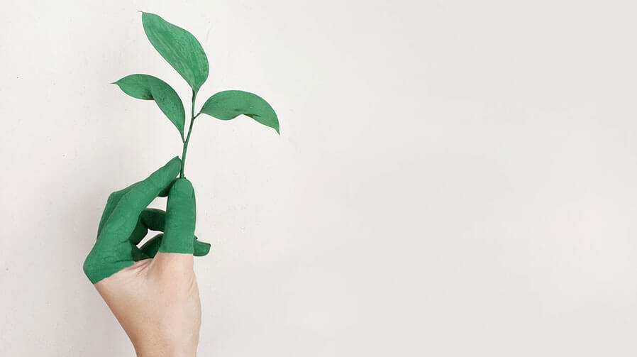 Sustainable Printing